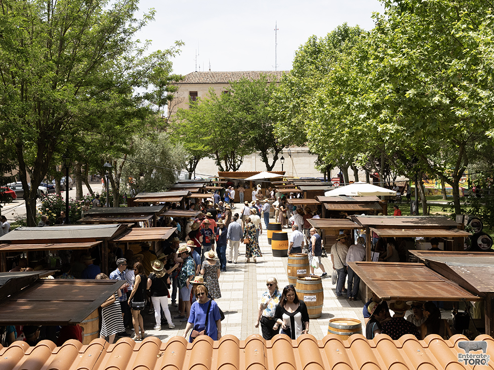 La Feria del Vino arranca con una calificación de añada 2024 excelente 11 Feria del Vino 11