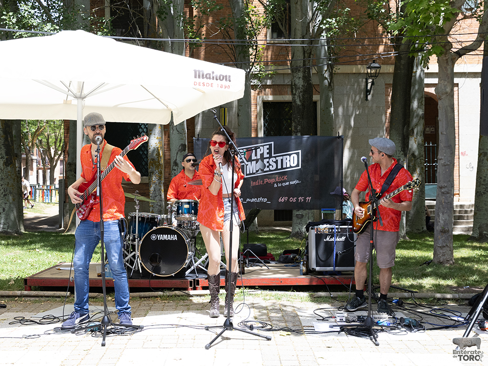 La Feria del Vino arranca con una calificación de añada 2024 excelente 14 Feria del Vino 14