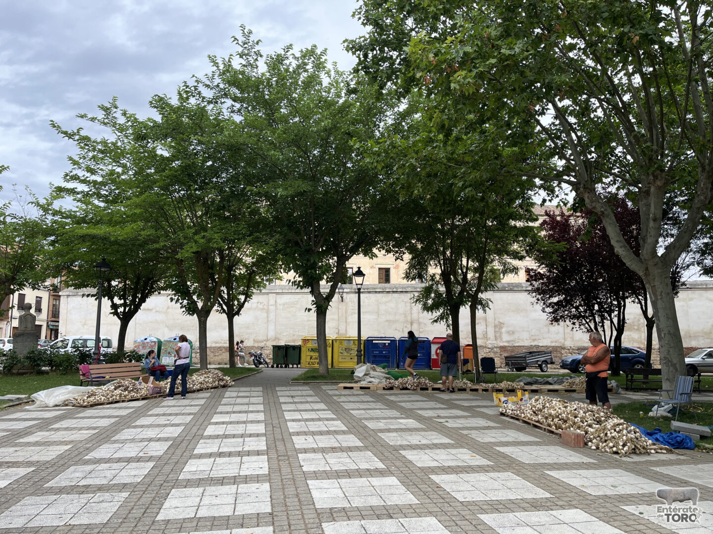 El toresano que lleva 52 años vendiendo ajos por San Pedro 1 Ajos 2