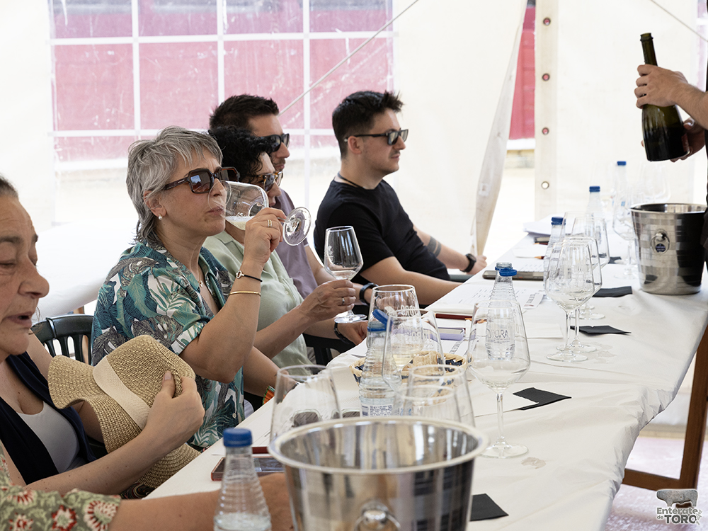 Cata Otros Vinos 11