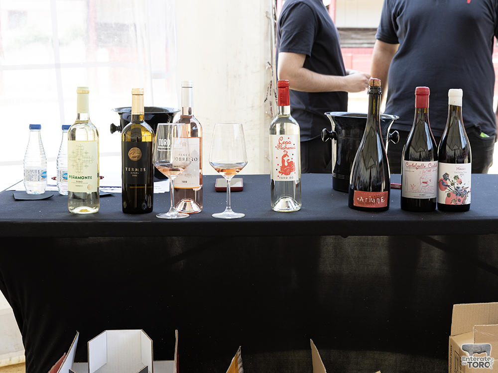 Cata Otros Vinos 4