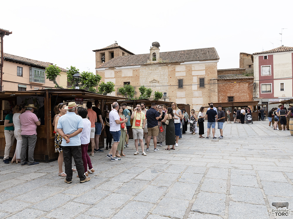 Domingo Feria del Vino 9