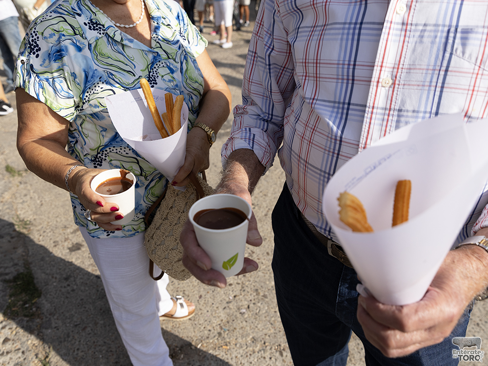 Las Ferias y Fiestas de San Agustín con una participación cada vez mayor 16 Dia de los mayores 16