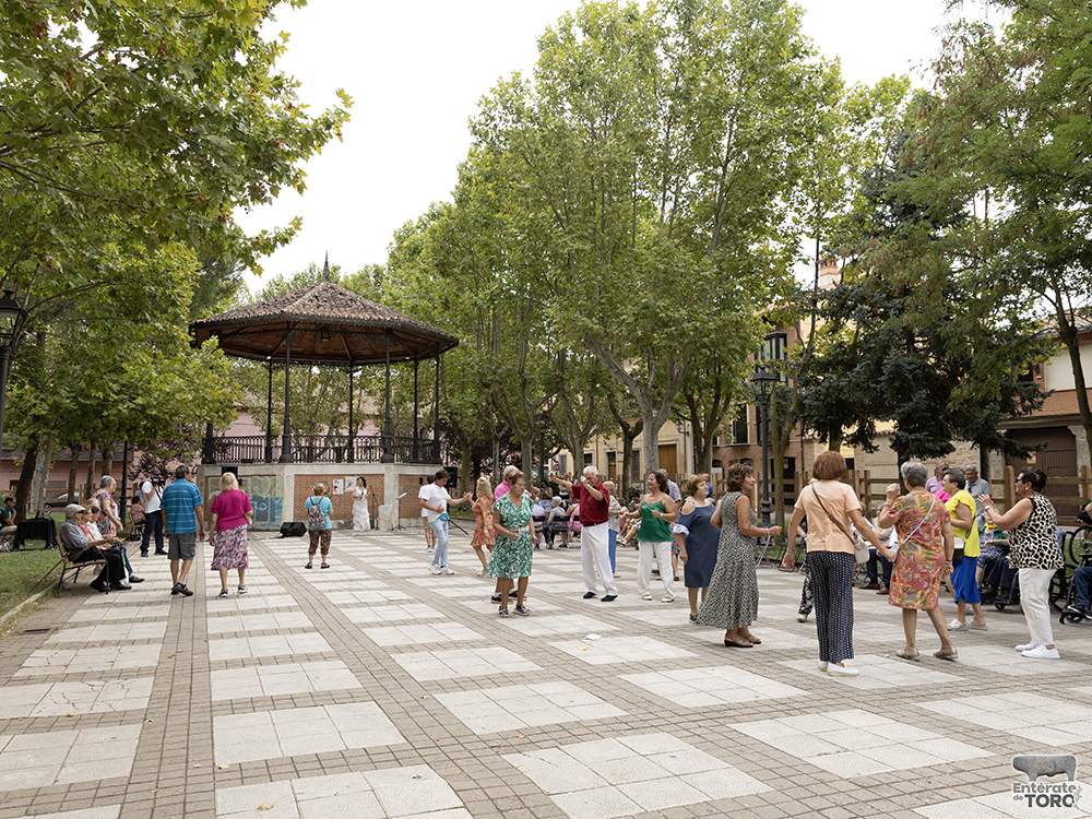 Las Ferias y Fiestas de San Agustín con una participación cada vez mayor 2 Dia de los mayores 2