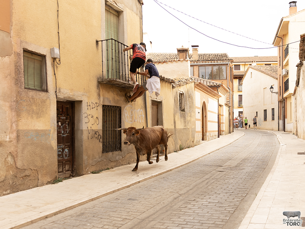 Las Ferias y Fiestas de San Agustín con una participación cada vez mayor 21 Encierro calles 1