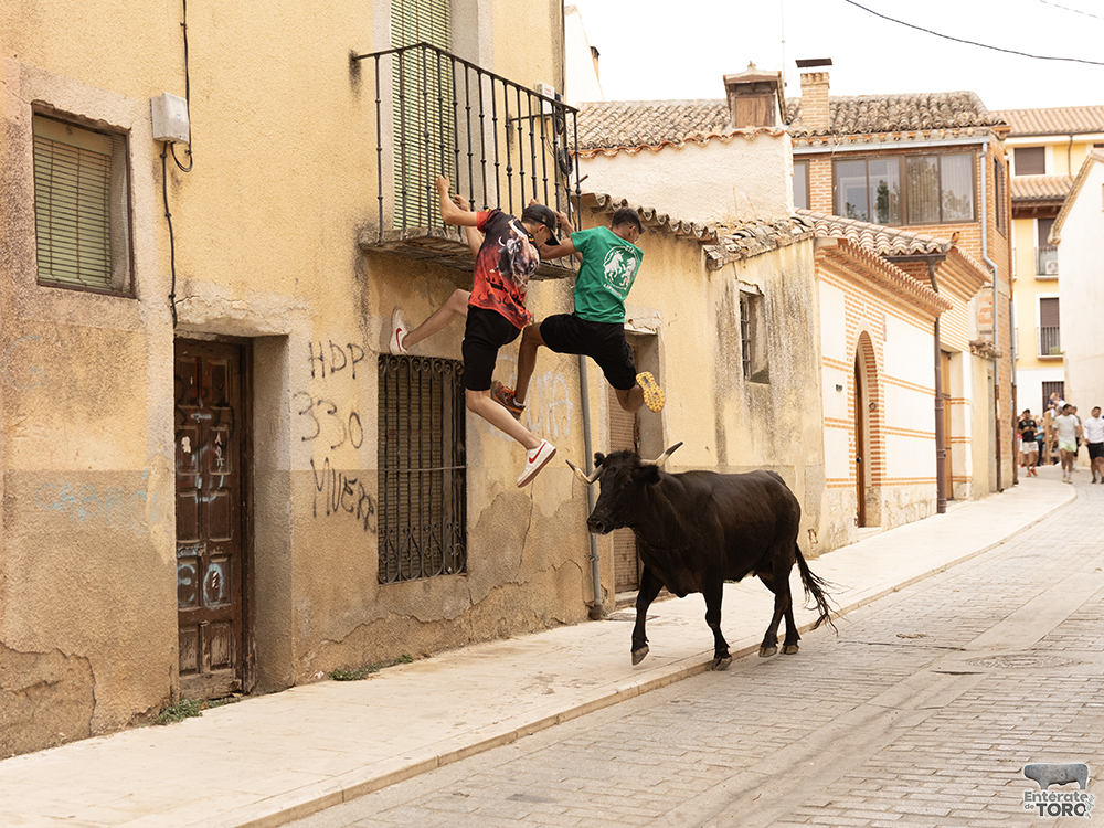 Las Ferias y Fiestas de San Agustín con una participación cada vez mayor 31 Encierro calles 11
