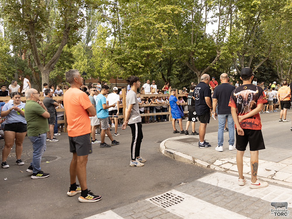 Las Ferias y Fiestas de San Agustín con una participación cada vez mayor 36 Encierro calles 16