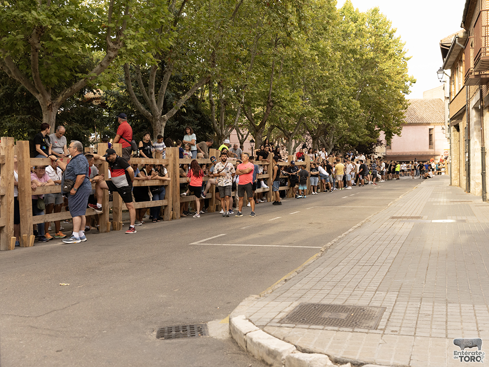Las Ferias y Fiestas de San Agustín con una participación cada vez mayor 28 Encierro calles 8