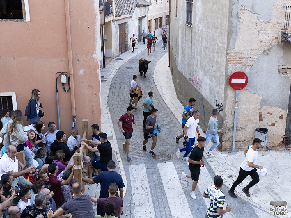 Toro del Cajón, tres conciertos y una discomovida para la tarde noche del viernes de fiestas 2 Toros y conciertos 2