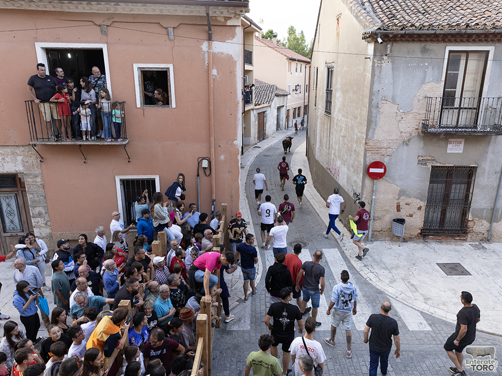 Toro del Cajón, tres conciertos y una discomovida para la tarde noche del viernes de fiestas 4 Toros y conciertos 4