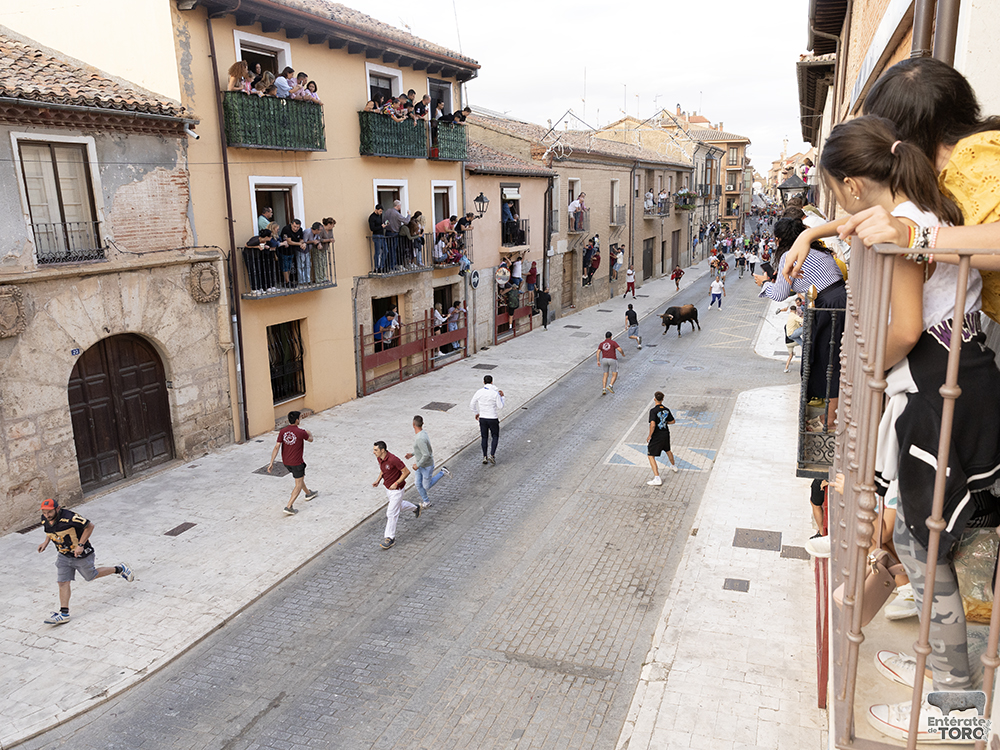 Toro del Cajón, tres conciertos y una discomovida para la tarde noche del viernes de fiestas 5 Toros y conciertos 5
