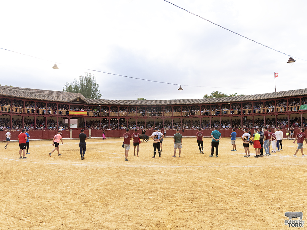 Toro del Cajón, tres conciertos y una discomovida para la tarde noche del viernes de fiestas 6 Toros y conciertos 6