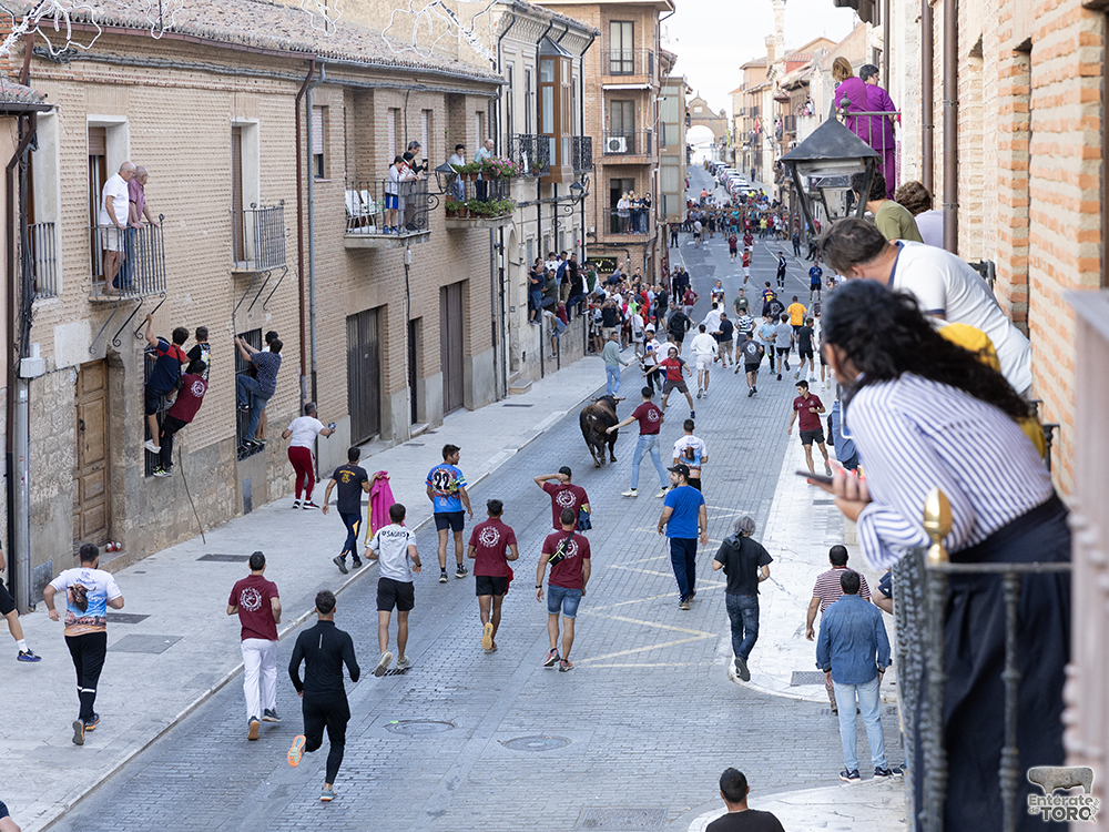 Toro del Cajón, tres conciertos y una discomovida para la tarde noche del viernes de fiestas 7 Toros y conciertos 7