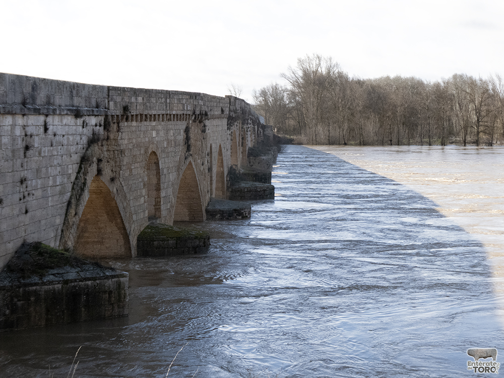Rio Duero 13
