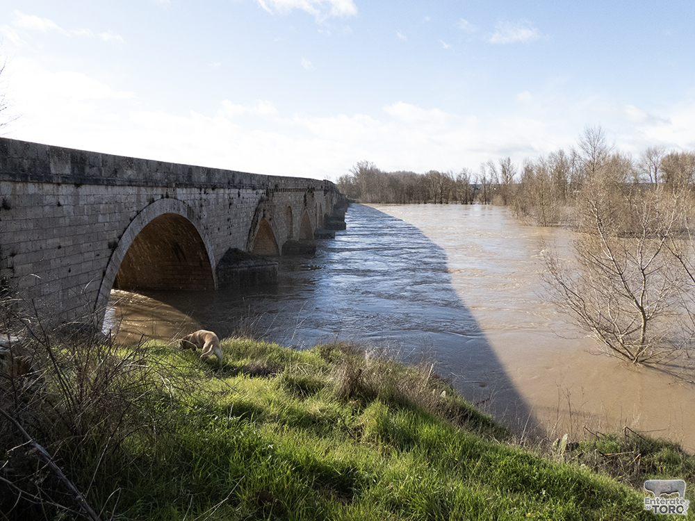 Rio Duero 14