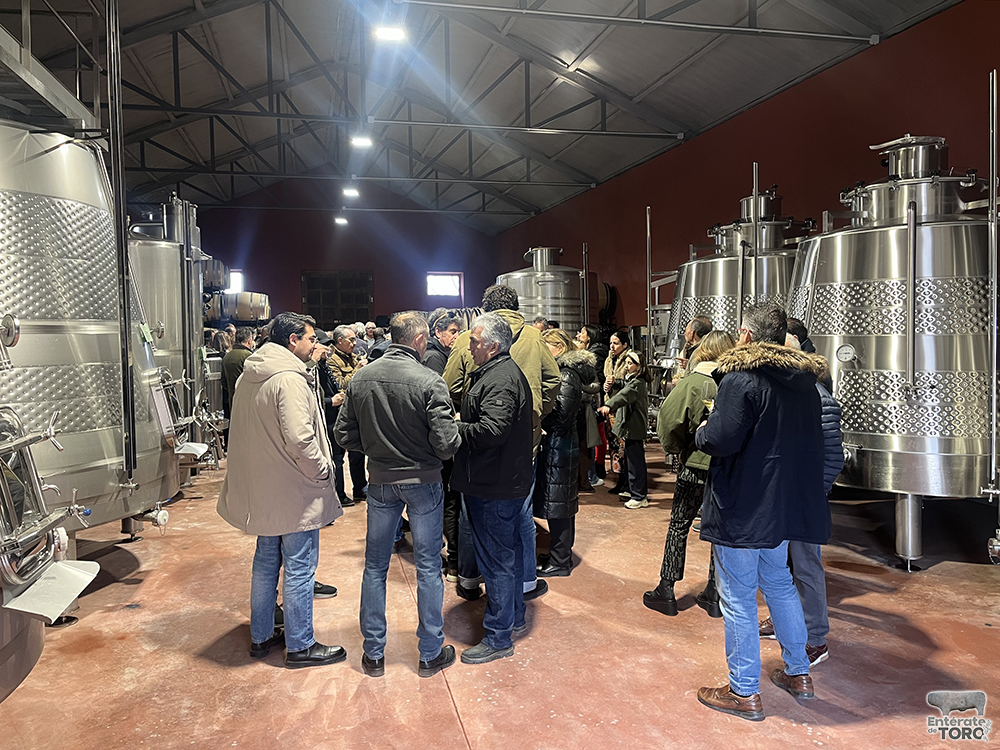 Dominiodelbienamado 1