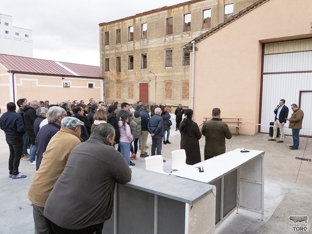 Dominiodelbienamado 12