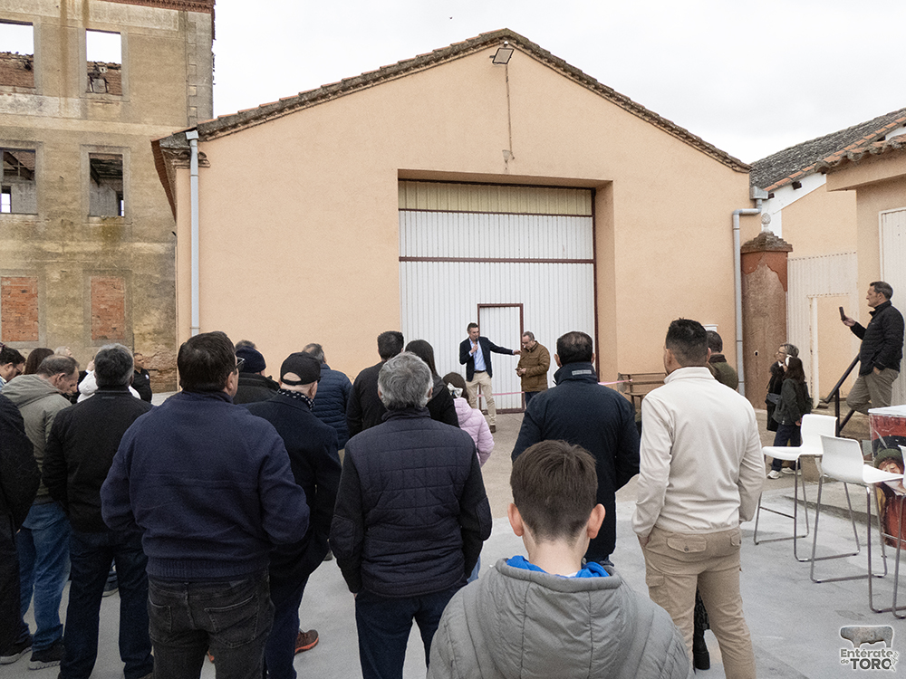 Dominiodelbienamado 13