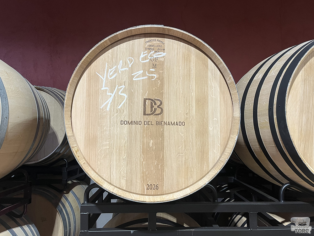 Dominiodelbienamado 4