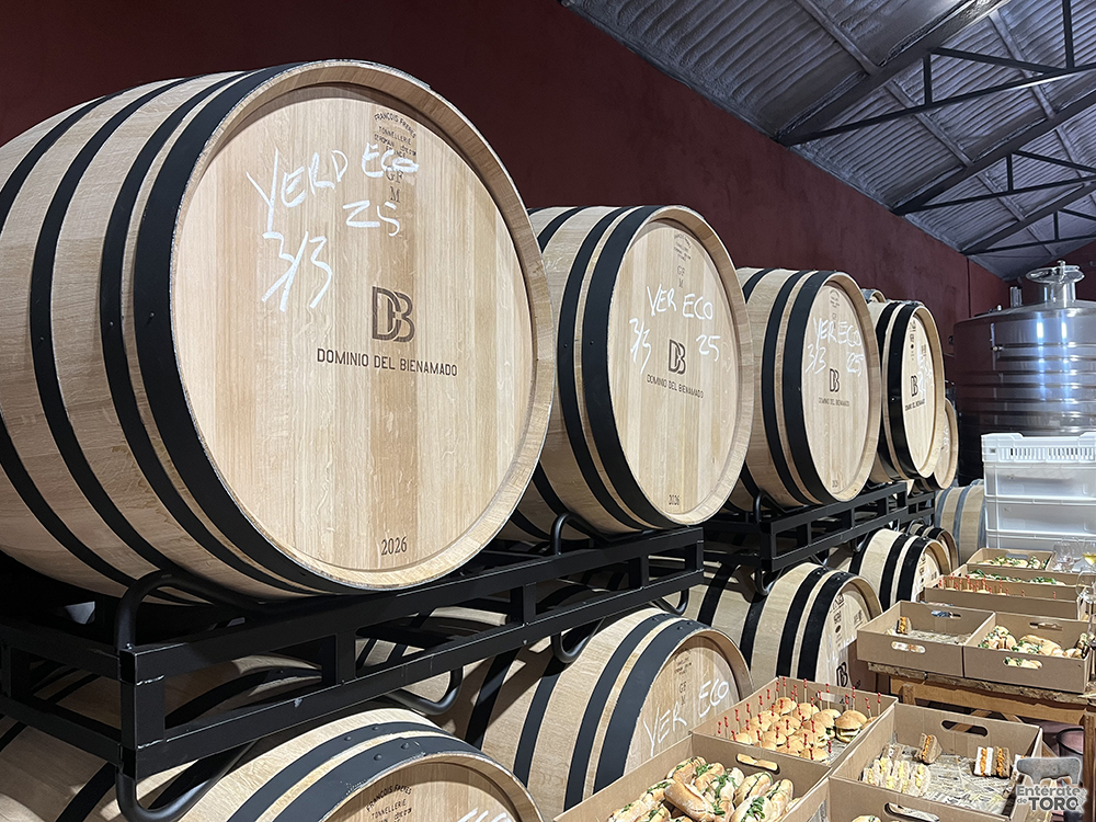 Dominiodelbienamado 5