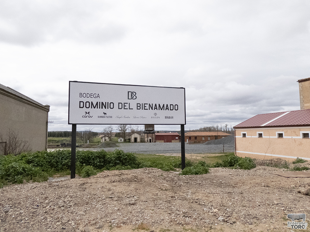 Dominiodelbienamado 9