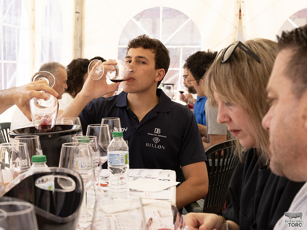 La Feria del Vino de Toro 2026 arranca con una añada calificada como excelente 5 Feria del Vino 10