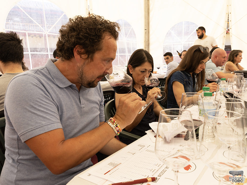 La Feria del Vino de Toro 2026 arranca con una añada calificada como excelente 6 Feria del Vino 11