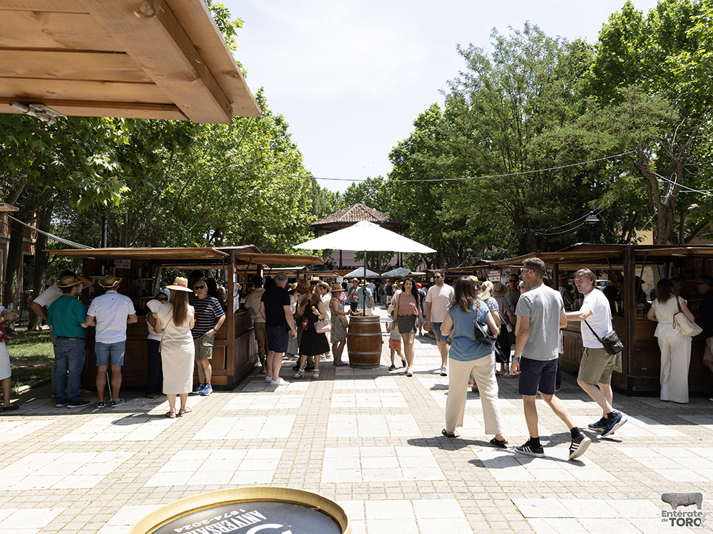 La Feria del Vino de Toro 2026 arranca con una añada calificada como excelente 15 Feria del Vino 20