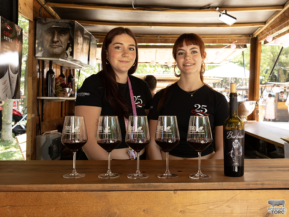 La Feria del Vino de Toro 2026 arranca con una añada calificada como excelente 16 Feria del Vino 21