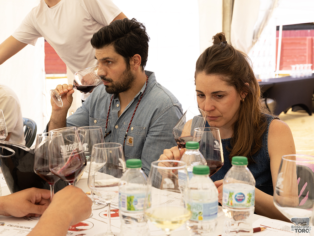 La Feria del Vino de Toro 2026 arranca con una añada calificada como excelente 3 Feria del Vino 8