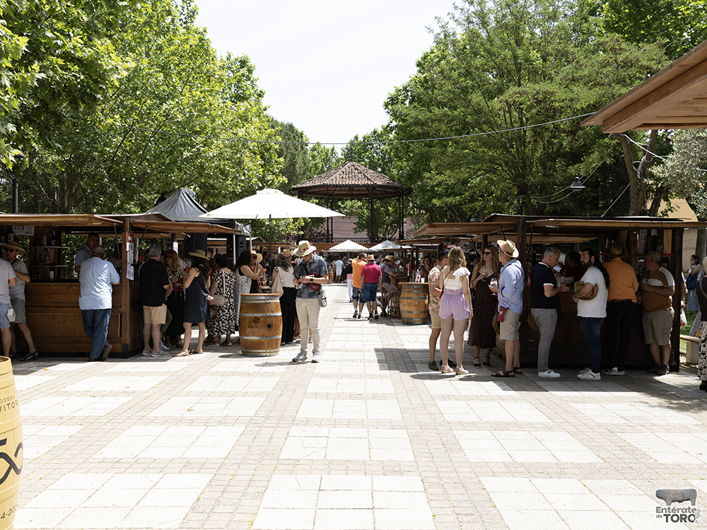 La Feria del Vino consolida su éxito un año más 15 Feria del Vino Domingo 15