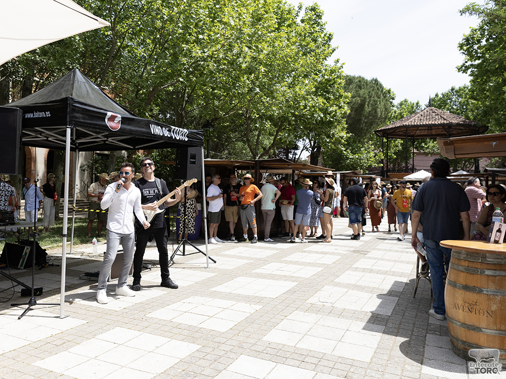 La Feria del Vino consolida su éxito un año más 16 Feria del Vino Domingo 16