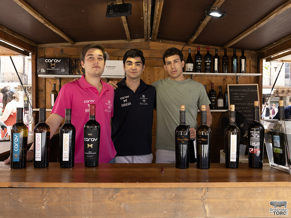 La Feria del Vino consolida su éxito un año más 17 Feria del Vino Domingo 17