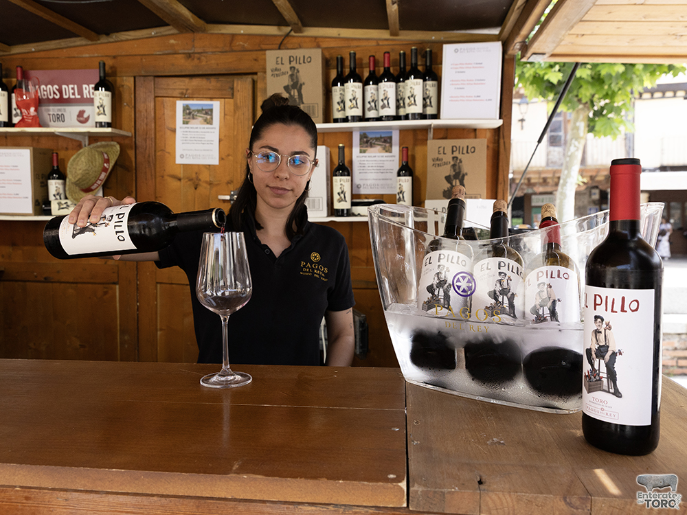 La Feria del Vino consolida su éxito un año más 19 Feria del Vino Domingo 19