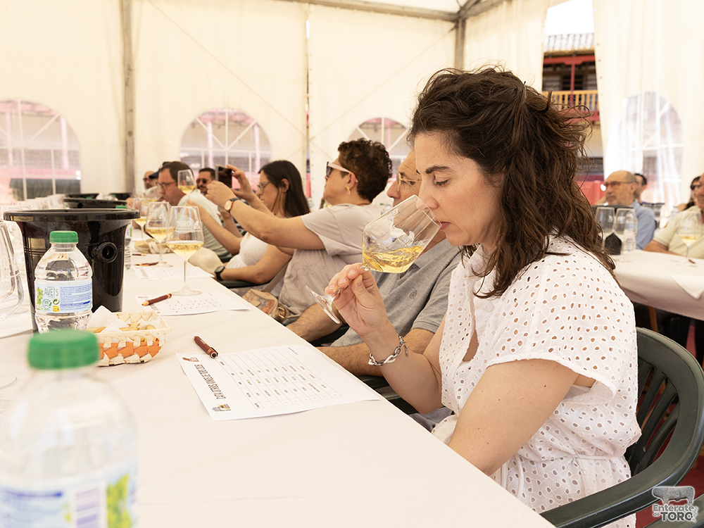 La Feria del Vino consolida su éxito un año más 2 Feria del Vino Domingo 2