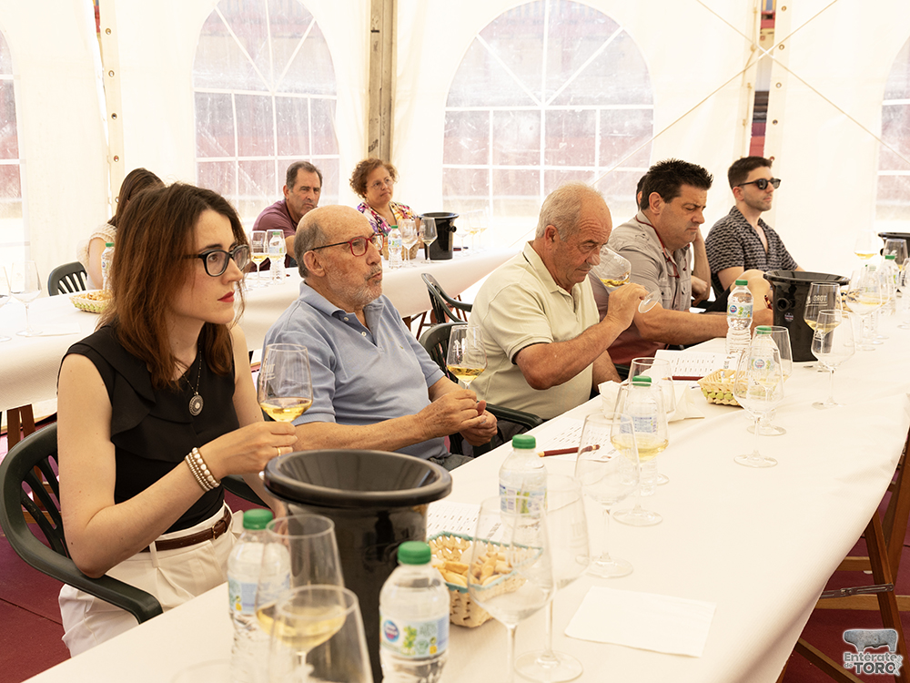 La Feria del Vino consolida su éxito un año más 4 Feria del Vino Domingo 4