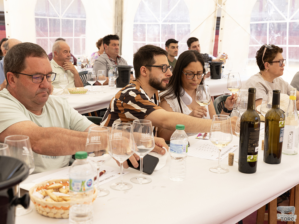 La Feria del Vino consolida su éxito un año más 9 Feria del Vino Domingo 9